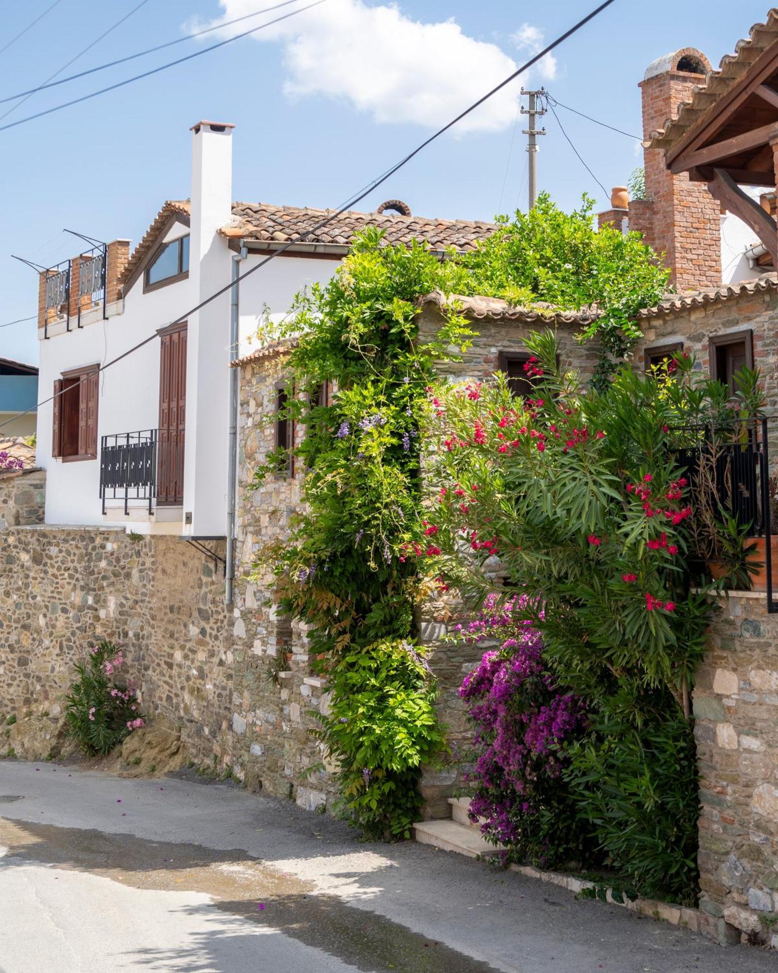 Ionia House Villa Selçuk Ngoại thất bức ảnh